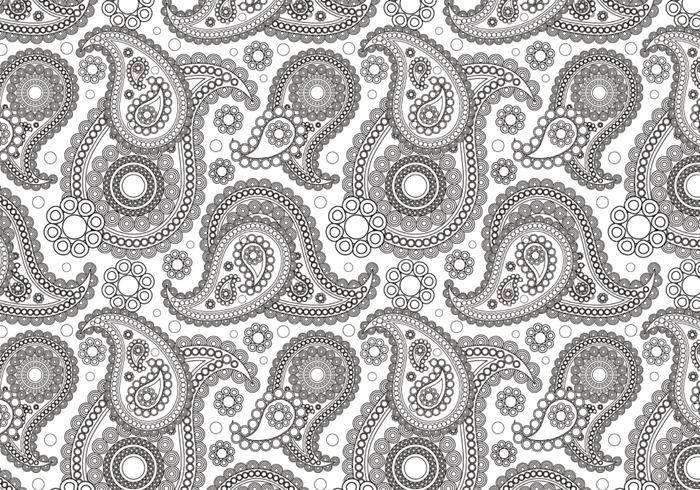 Black And White Paisley Design