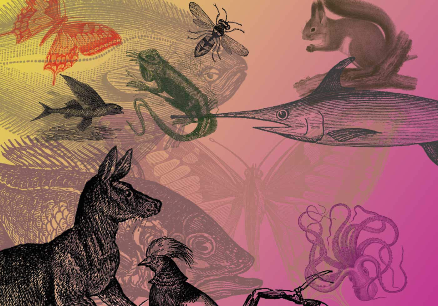 58 Victorian Animal Brushes Free Brushes at Brusheezy!