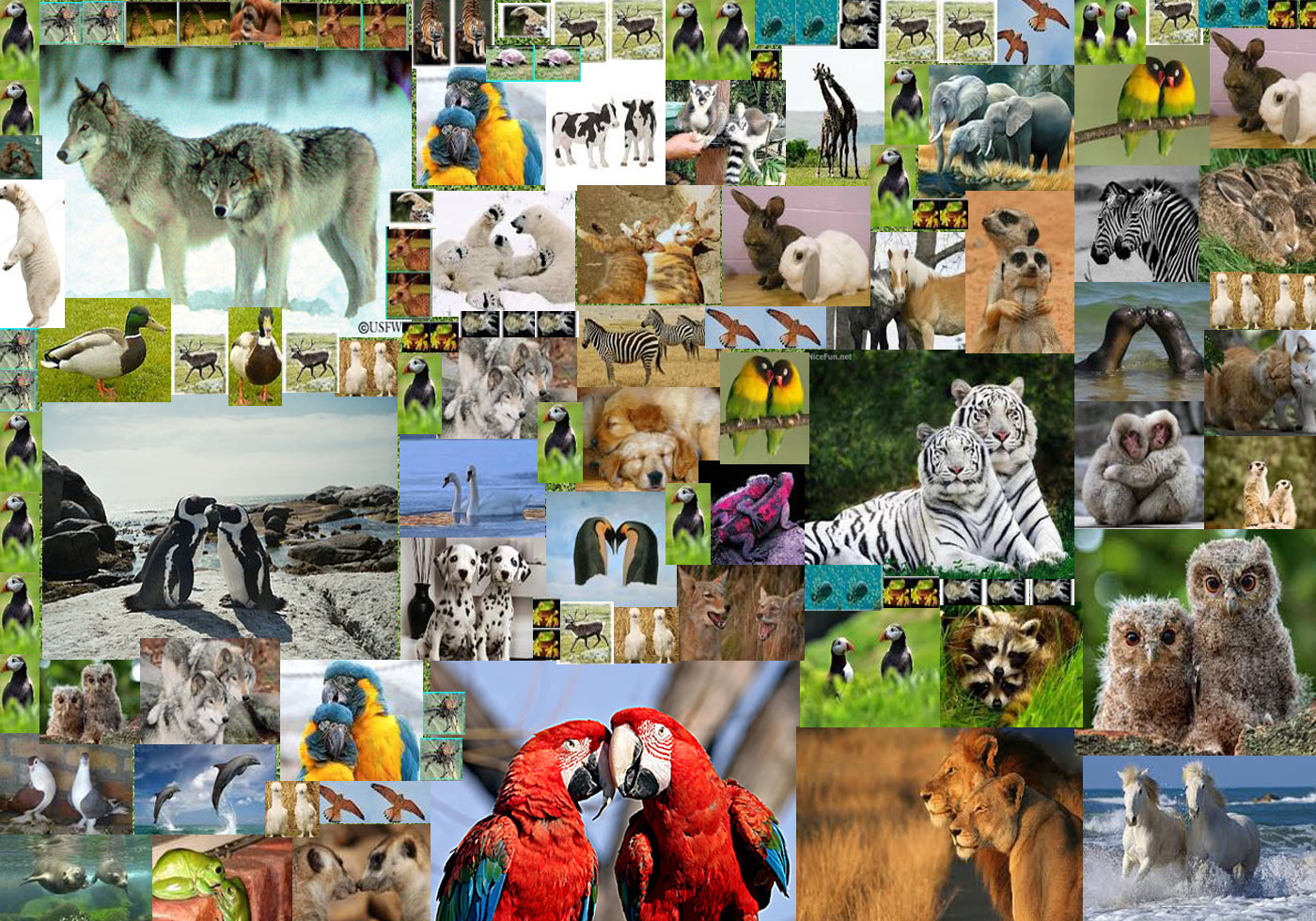 Animals in pairs - Free Photoshop Brushes at Brusheezy!