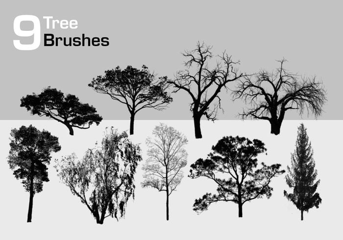 download brush photoshop cs6 tree