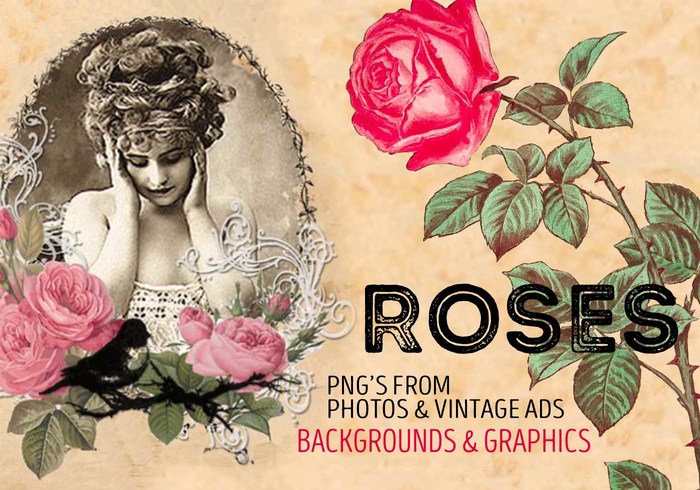 Rosas de fundo e gráficos Rosas de fundo e gráficos