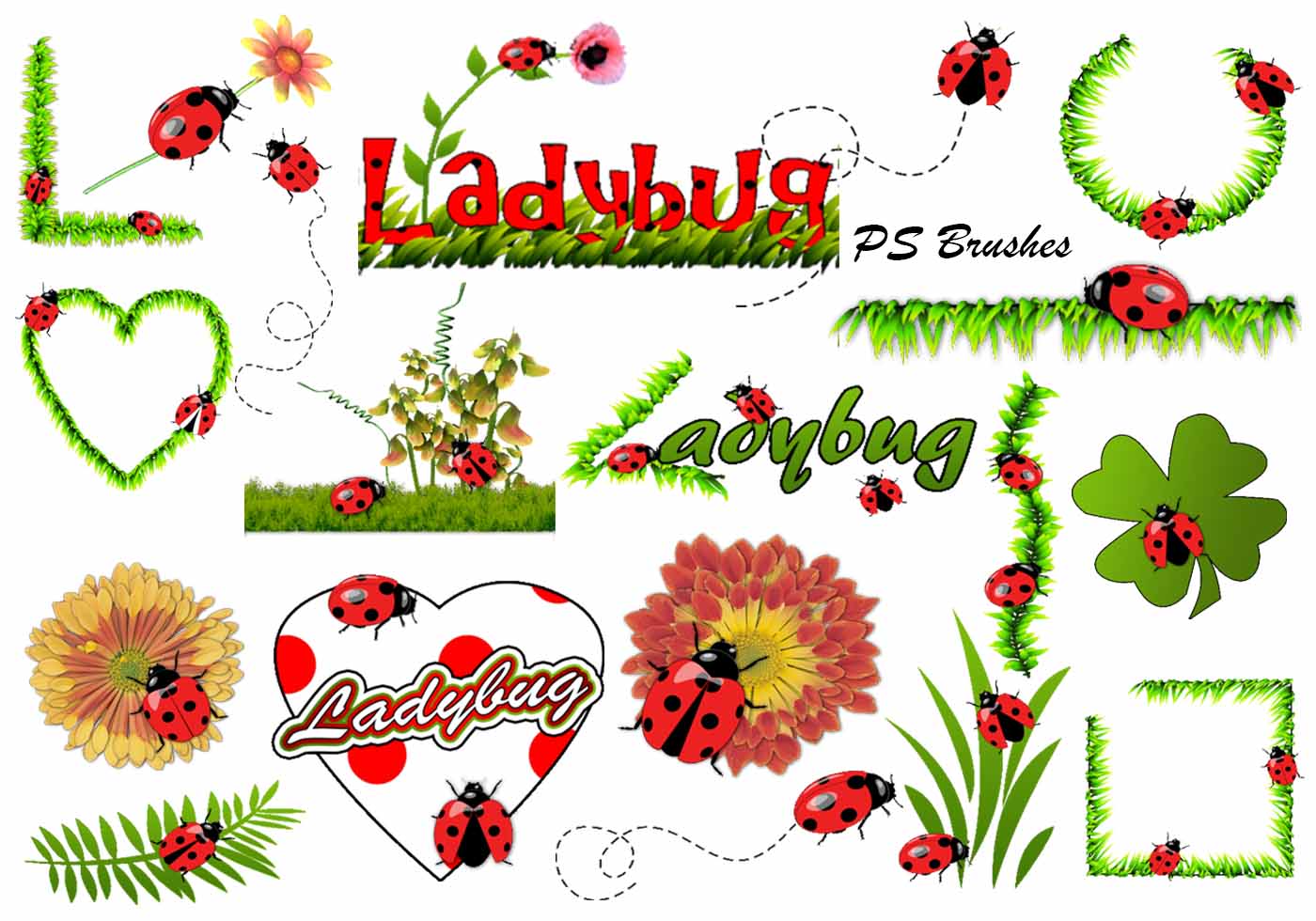 20 Ladybug PS Brushes - Free Photoshop Brushes at Brusheezy!