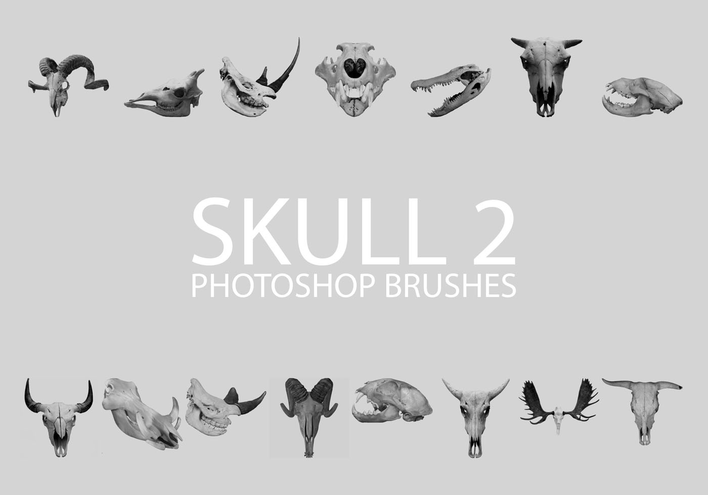 Free Skull Brushes 2 Free Brushes at Brusheezy!
