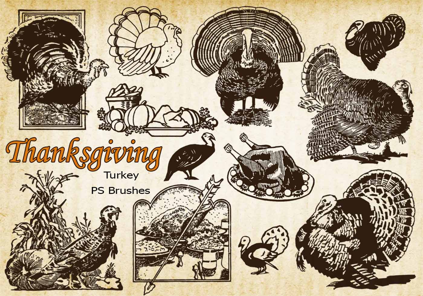 20 Thanksgiving Vintage Turkey PS Brushes abr. Vol.10 Free