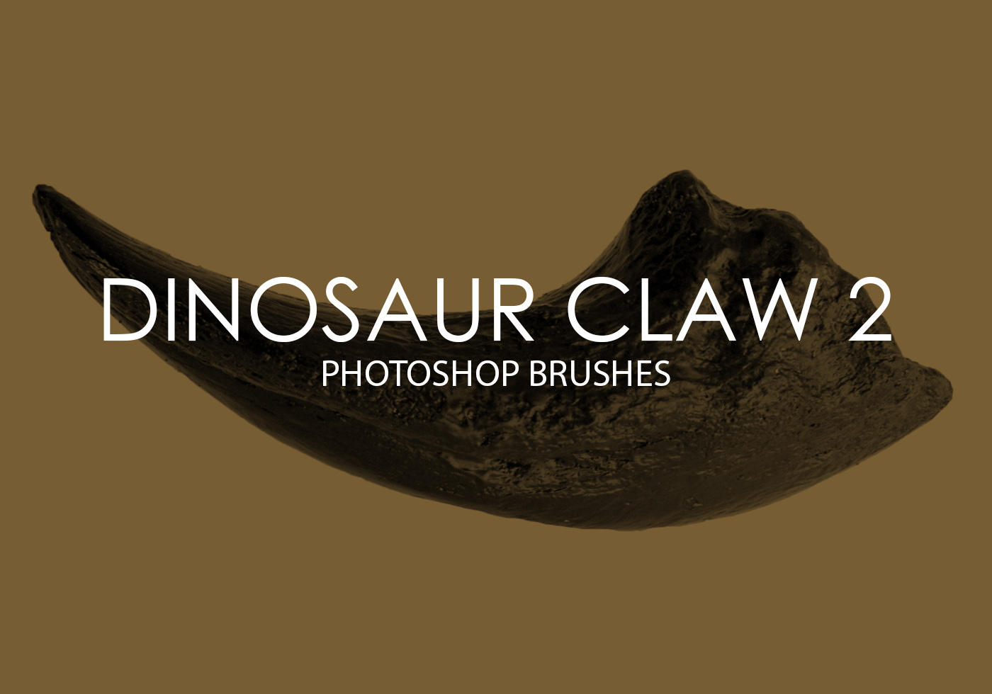 Free Dinosaur Claw Brushes Free Brushes at Brusheezy!