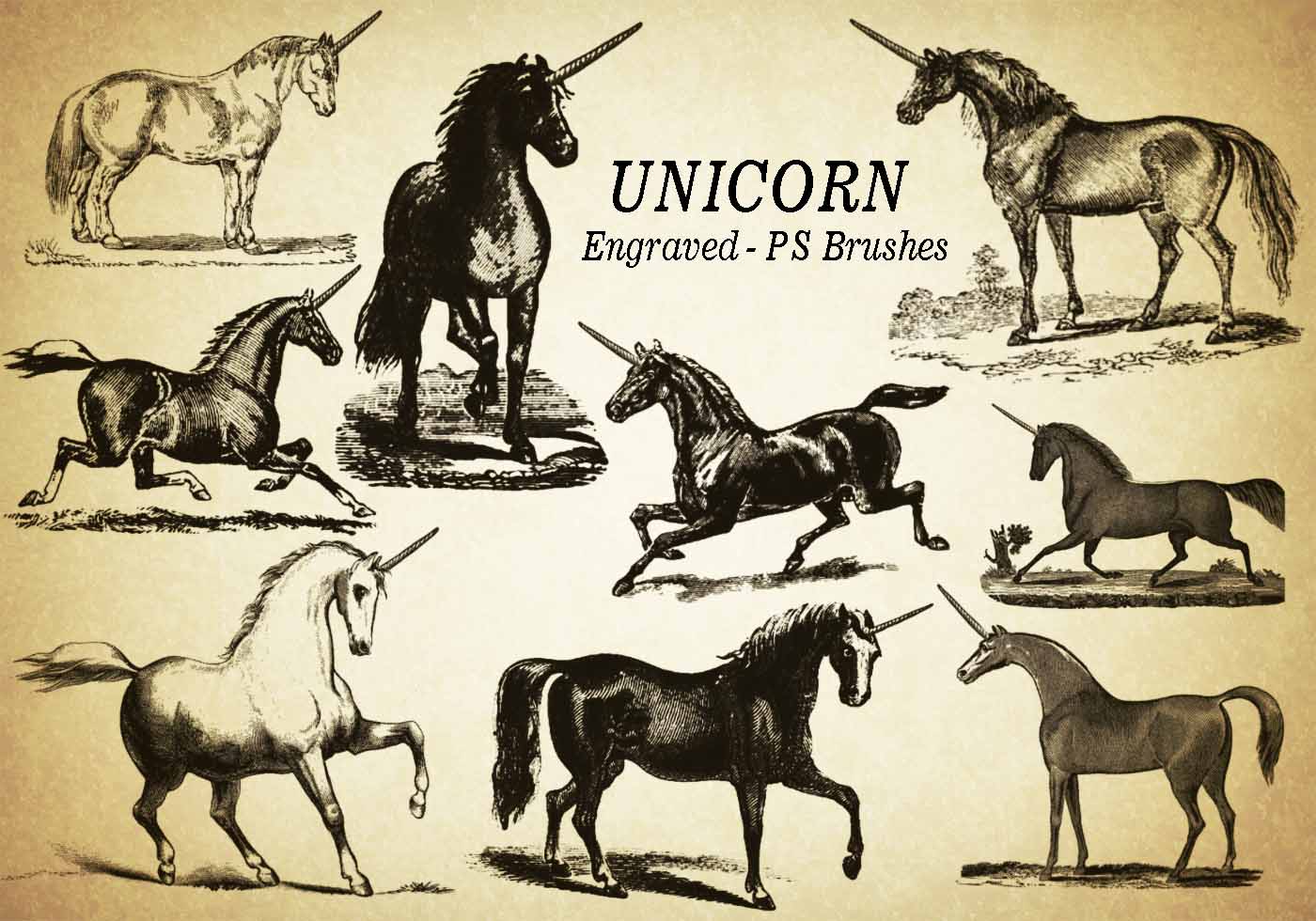 20 Unicorn Engraved PS Brushes abr. Vol.5 Free Brushes at
