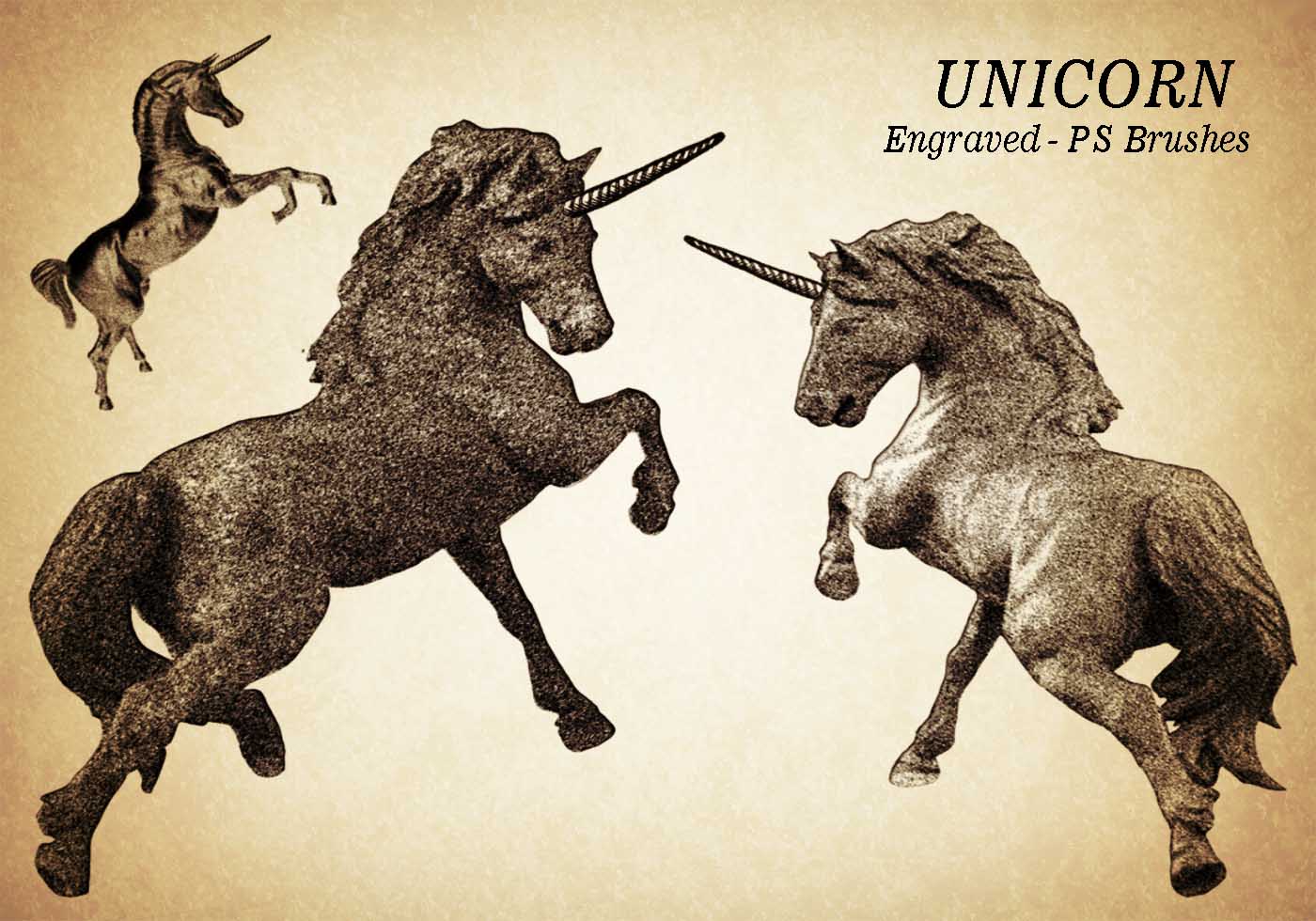 20 Unicorn Engraved PS Brushes abr. Vol.8 Free Brushes at