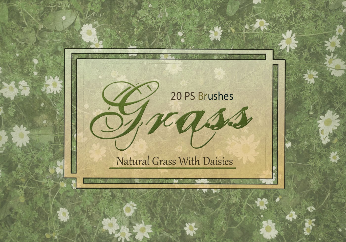 20 Grass Texture PS Brushes.abr vol.2 Free Brushes at