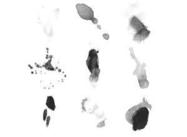 Sumi_thumb