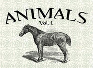 Animals1