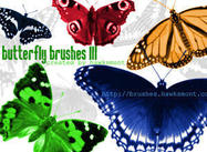 Butterfly3-brushes-by-hawksmont300