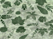 Leaves_photoshop_brushes_by