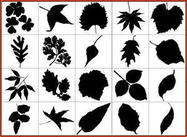 Free_leaf_silhouettes300-220