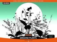 Cover_plants_promo2