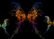 Wings-2