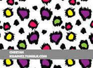 Cheetah