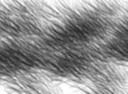 Fur_brush_banner