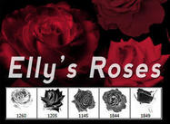 Ellys-roses-by-designerfied