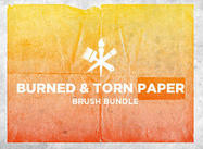 Bb_burned_torn