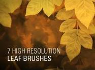 Leaf_brushes_thumb