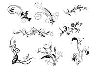 8-floral-swirls-brush-pack-photoshop-brushes