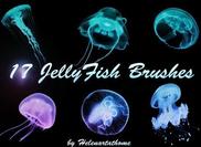 Jellies_thumb