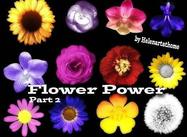 Flower-power2