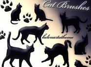 Cat-brushes