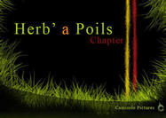 Herb-a-poils-grass-brushes-chapter-2-camisole-pictures-brushes