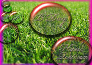 Special-happy-birthday-wish-grass-psd