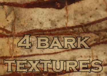 Complete Tree Brush Pack - Free Photoshop Brushes at Brusheezy!