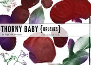 Thorny-baby-rose-brushes