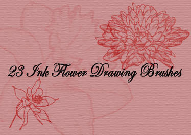 Chrysanthemumvectordrawing Gratuit Pinceaux - (465 Telechargements Gratuit)