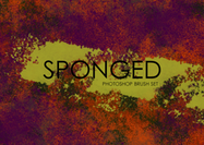 Sponge-brushes