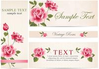 Vintage Rose Banner Bakgrund Pack