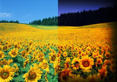 Camerashoulderstrapmockup Kostenlos Pinsel - (166 Free Downloads)