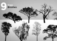 9-high-resolution-tree-brushes