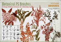 20_vintage_wildflower_ps_brushes_abr_preview