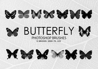Butterfly_prev