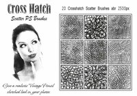20_cross_hatch_scatter_brushes_abr_preview