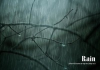 20_rain_ps_brushes_abr_preview