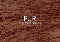 Fur_ps_brushes_prev