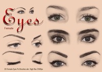 20_female_eyes_ps_brushes_abr_preview