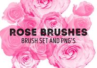 Pinceaux roses