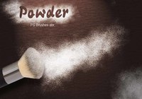 20_powder_brushes.vol_3