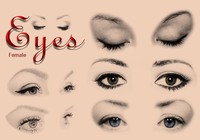 20_female_eyes_ps_brushes_abr_preview