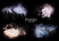 20_powder_ps_brushes.abr_vol.4_preview