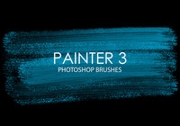Painter3