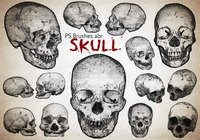 20_engraved_skull__brushes_vol.7_preview