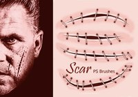 20_scar_brushes_vol.2_preview